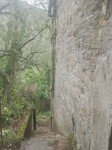 Rapallo  rustico e terreni  zona  Tuia