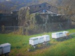 Varese ligure  loc.  Comuneglia   Podere